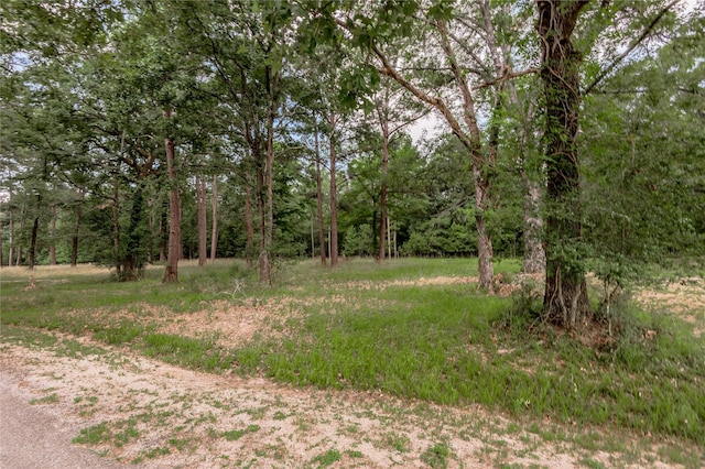 LOT38 Peach Point Ln, Trinity, TX 75862