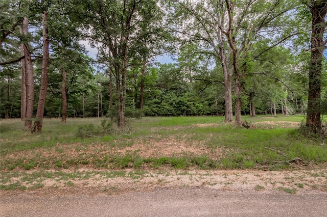 LOT38 Peach Point Ln, Trinity, TX 75862