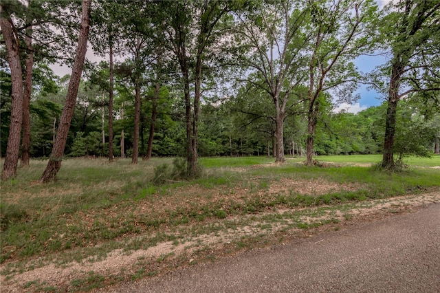LOT38 Peach Point Ln, Trinity, TX 75862