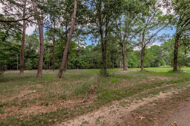 LOT38 Peach Point Ln, Trinity, TX 75862