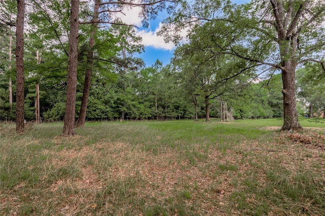 LOT38 Peach Point Ln, Trinity, TX 75862