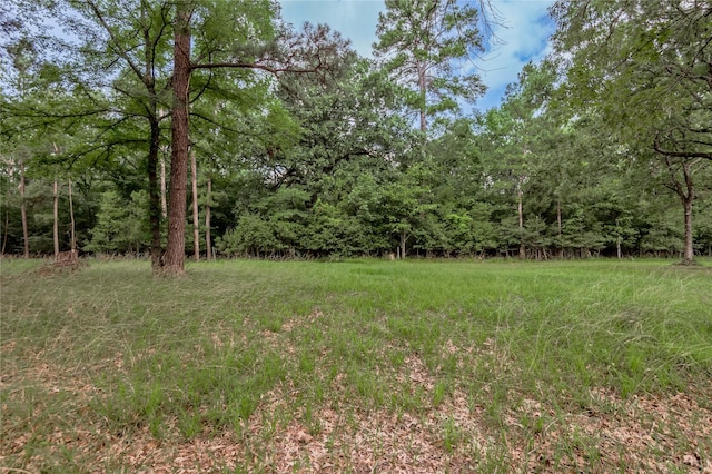 LOT38 Peach Point Ln, Trinity, TX 75862