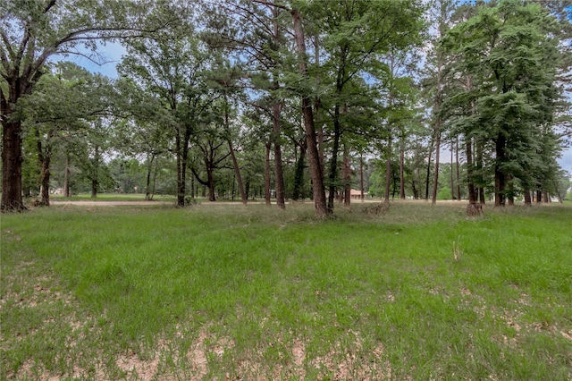 LOT38 Peach Point Ln, Trinity, TX 75862