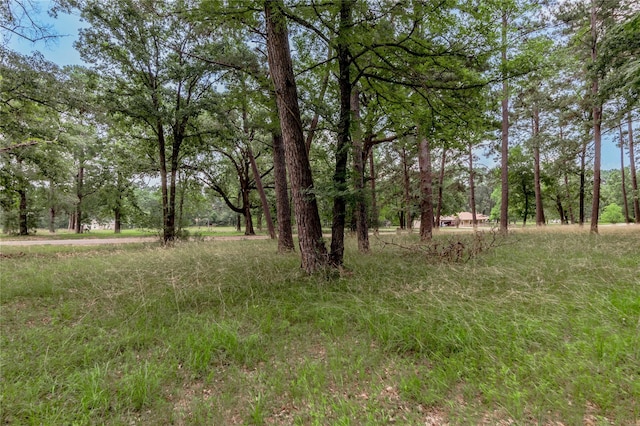 LOT38 Peach Point Ln, Trinity, TX 75862