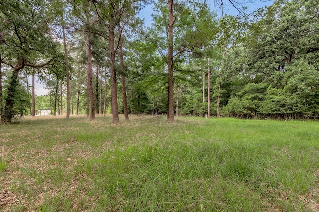 LOT38 Peach Point Ln, Trinity, TX 75862