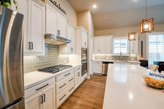 2234 Clements Shore Ln, La Porte, TX 77571 - kitchen featuring stainless steel appliances, under cabinet range hood, a sink, light countertops, and wood finished floors