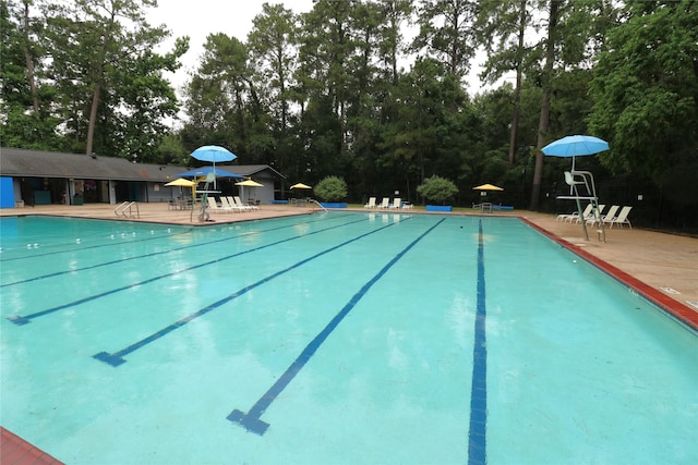 3911 Hermitage Hollow Ln, Houston, TX 77339 - community pool with view of scattered trees and a patio area