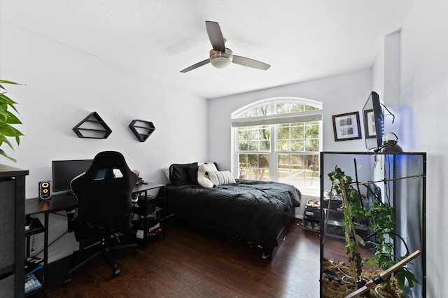 4807 Louisa Ct, Sugar Land, TX 77478 - bedroom featuring wood finished floors, an office area, and ceiling fan