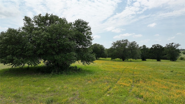 7000 Greenvine Rd, Brenham, TX 77833 - photo 2