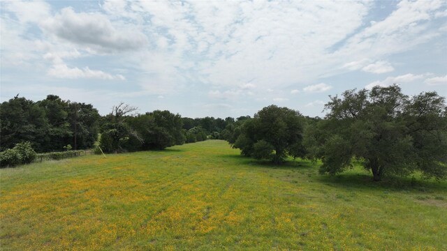 7000 Greenvine Rd, Brenham, TX 77833 - photo 6