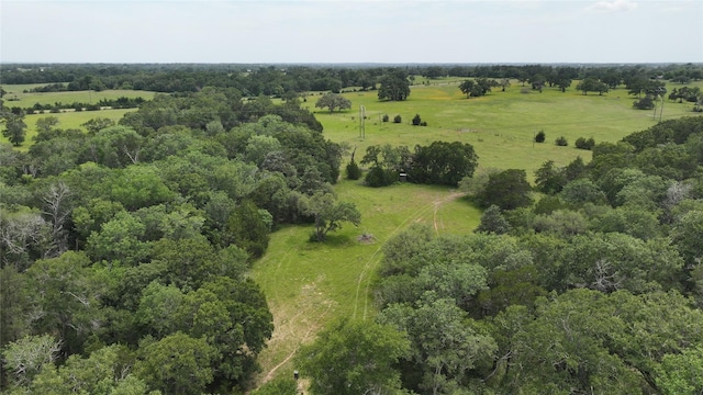 7000 Greenvine Rd, Brenham, TX 77833 - photo 10