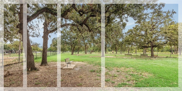 2218 Gardenia Dr, Houston, TX 77018 - view of yard
