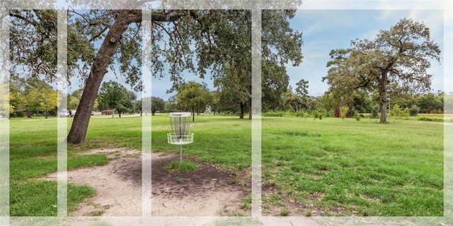 2218 Gardenia Dr, Houston, TX 77018 - view of green lawn