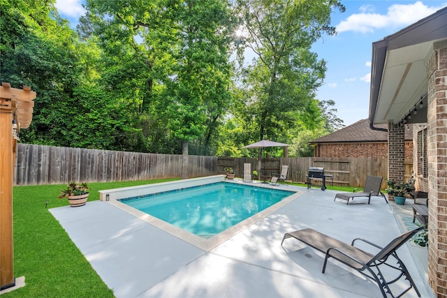 399 Black Walnut Dr, Conroe, TX 77304 - view of swimming pool featuring a patio area