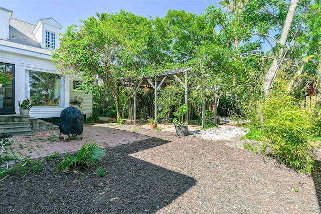 1309 Broadway St, Galveston, TX 77550 - view of yard with a patio area and entry steps