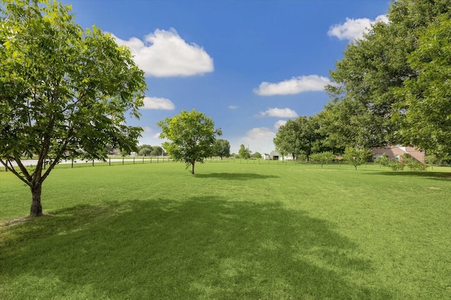 19 Remington Park, Katy, TX 77493 - view of yard