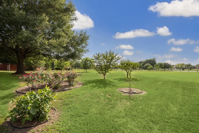 19 Remington Park, Katy, TX 77493 - view of yard