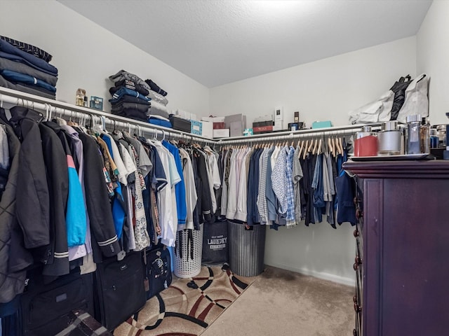 14306 Cedar Pine Ct, Houston, TX 77068 - spacious closet featuring carpet