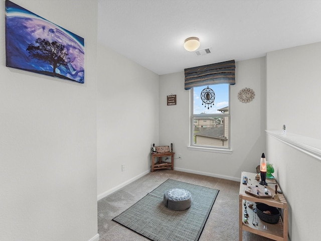 14306 Cedar Pine Ct, Houston, TX 77068 - living area with carpet floors and baseboards