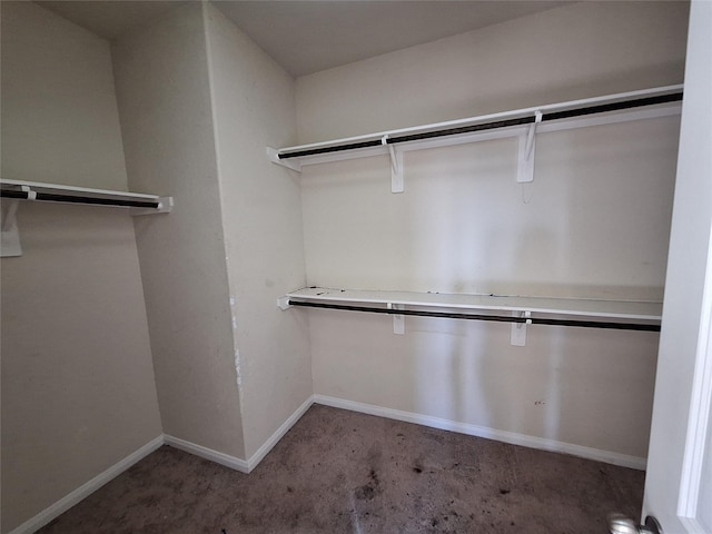 2419 Fort Baldy Trl, Humble, TX 77396 - walk in closet featuring carpet flooring