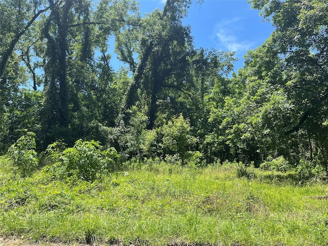 127 Trinity Rd, Dayton Lakes, TX 77535