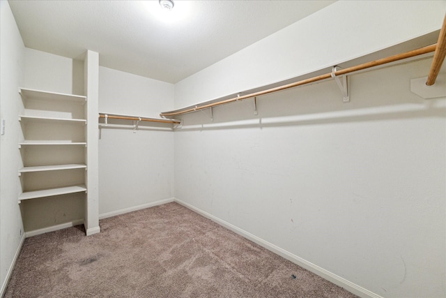 5002 Manor Stone Ln, Rosenberg, TX 77469 - spacious closet with carpet flooring