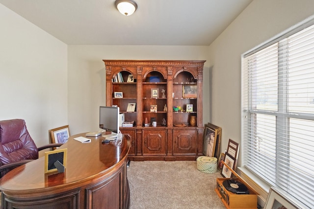 620 Cathedral Sq, Beaumont, TX 77701 - office space with carpet