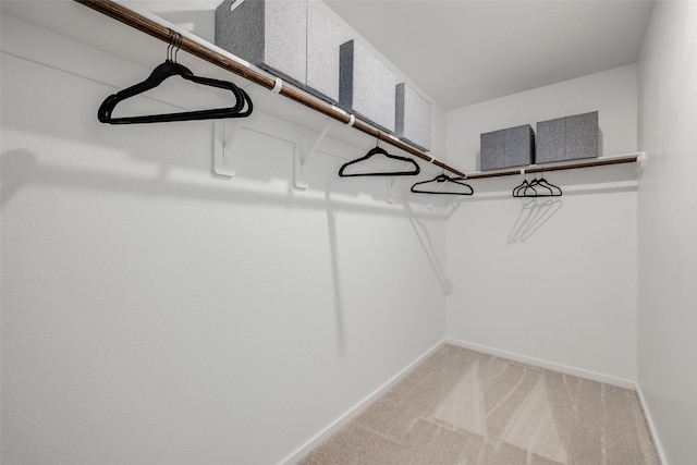 3025 Wild Dunes Dr, Katy, TX 77493 - spacious closet with light carpet
