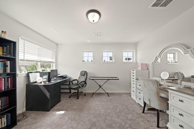 358 Cavil Barrier Ln, La Porte, TX 77571 - office space with carpet flooring and baseboards