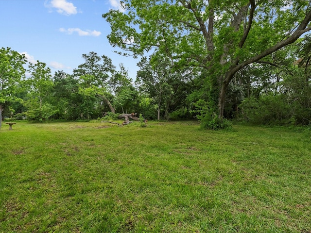 3422 N Elm Rd, Santa Fe, TX 77517 - view of green lawn