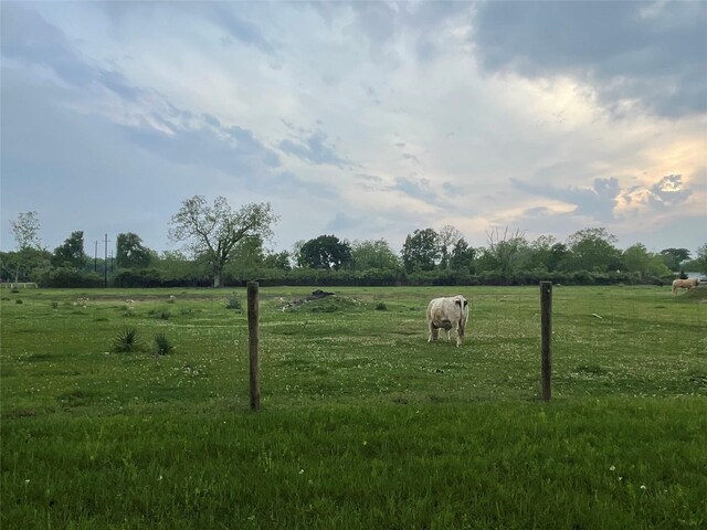 3295 Fm 524, Sweeny, TX 77480 - view of green lawn featuring a view of rural / pastoral area