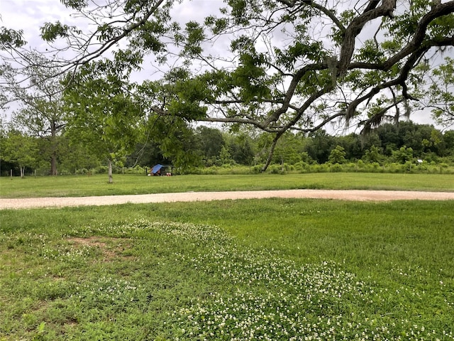 3295 Fm 524, Sweeny, TX 77480 - view of green lawn