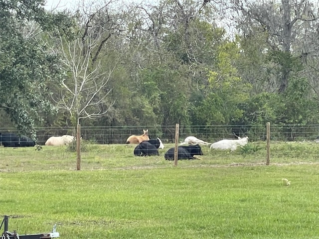 3295 Fm 524, Sweeny, TX 77480 - view of yard