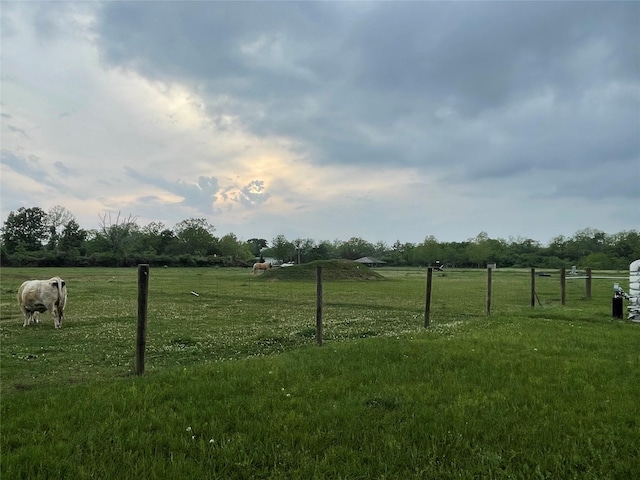 3295 Fm 524, Sweeny, TX 77480 - view of yard featuring a view of rural / pastoral area