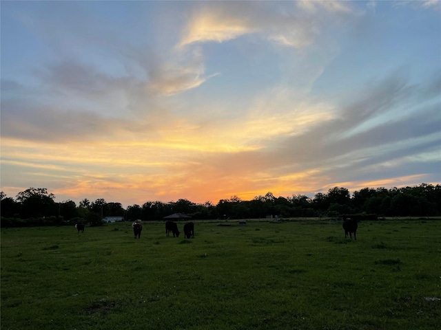 3295 Fm 524, Sweeny, TX 77480 - view of nature with rural landscape and agricultural land