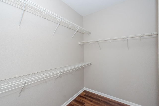1802 Dominic Ln, Houston, TX 77049 - walk in closet featuring dark wood-type flooring