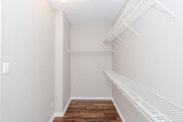 1802 Dominic Ln, Houston, TX 77049 - spacious closet with wood finished floors