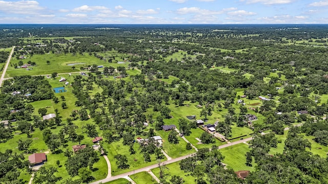 17854 County Road 945, Brazoria, TX 77422 - photo 22