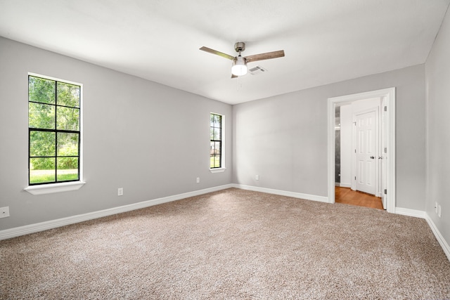 17854 County Road 945, Brazoria, TX 77422 - photo 12