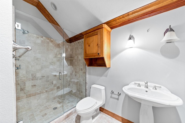 2042 Darby Ln, Fresno, TX 77545 - bathroom featuring toilet, a shower stall, a sink, and vaulted ceiling
