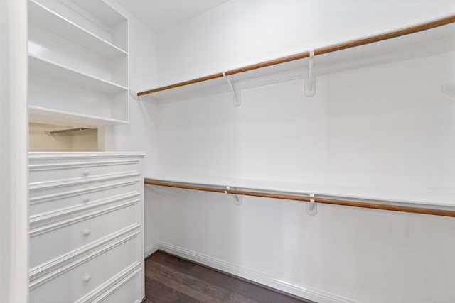 2042 Darby Ln, Fresno, TX 77545 - spacious closet with dark wood-type flooring