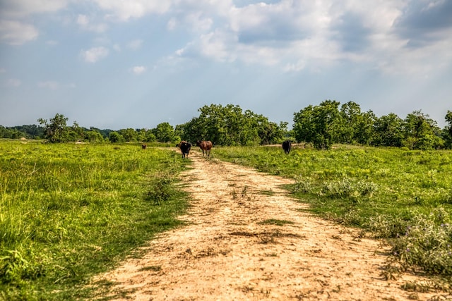 00000 Schmidt Rd, Waller, TX 77484