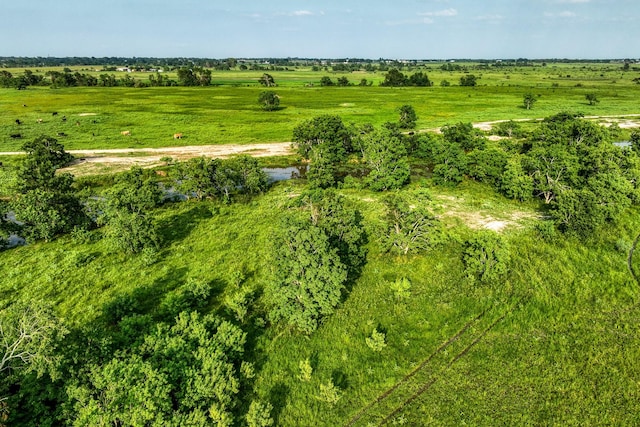 00000 Schmidt Rd, Waller, TX 77484