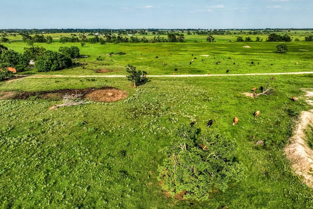 00000 Schmidt Rd, Waller, TX 77484