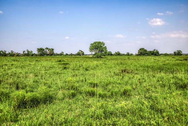 00000 Schmidt Rd, Waller, TX 77484