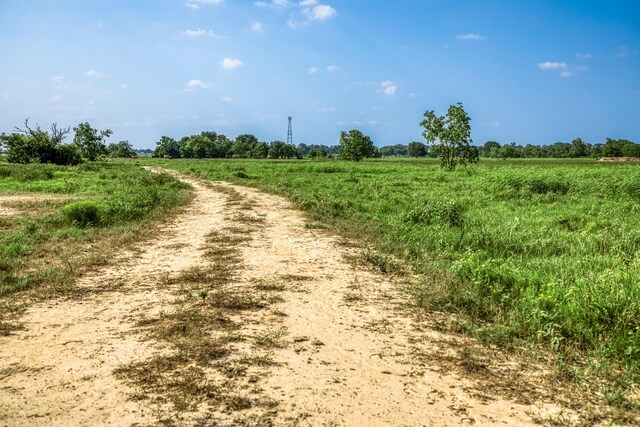 00000 Schmidt Rd, Waller, TX 77484
