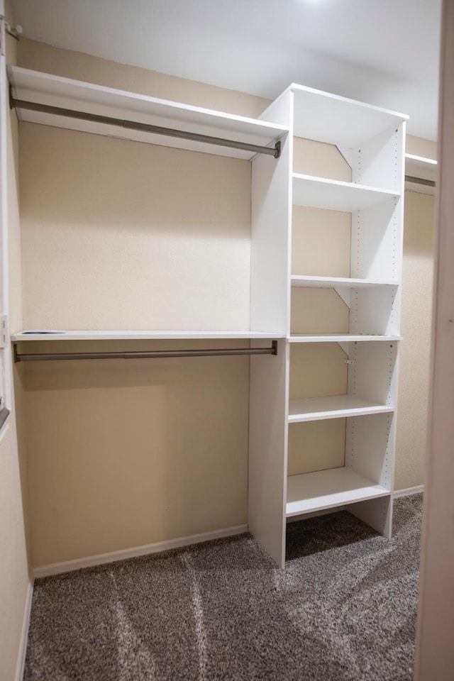30615 S Sulphur Creek Dr, Magnolia, TX 77355 - walk in closet featuring carpet floors