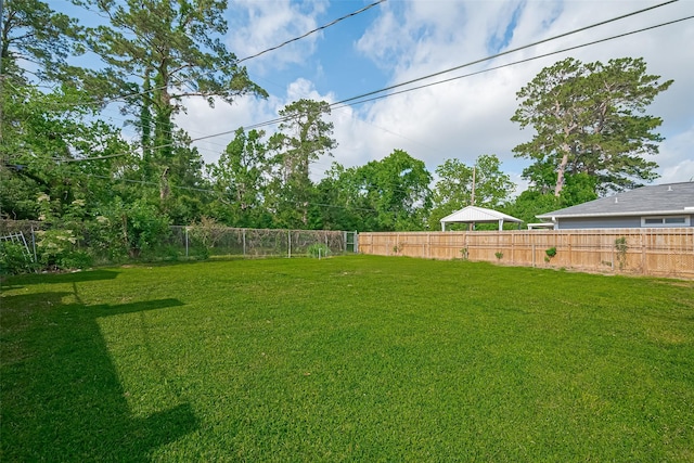 6134 Guadalupe St, Houston, TX 77016 - view of yard