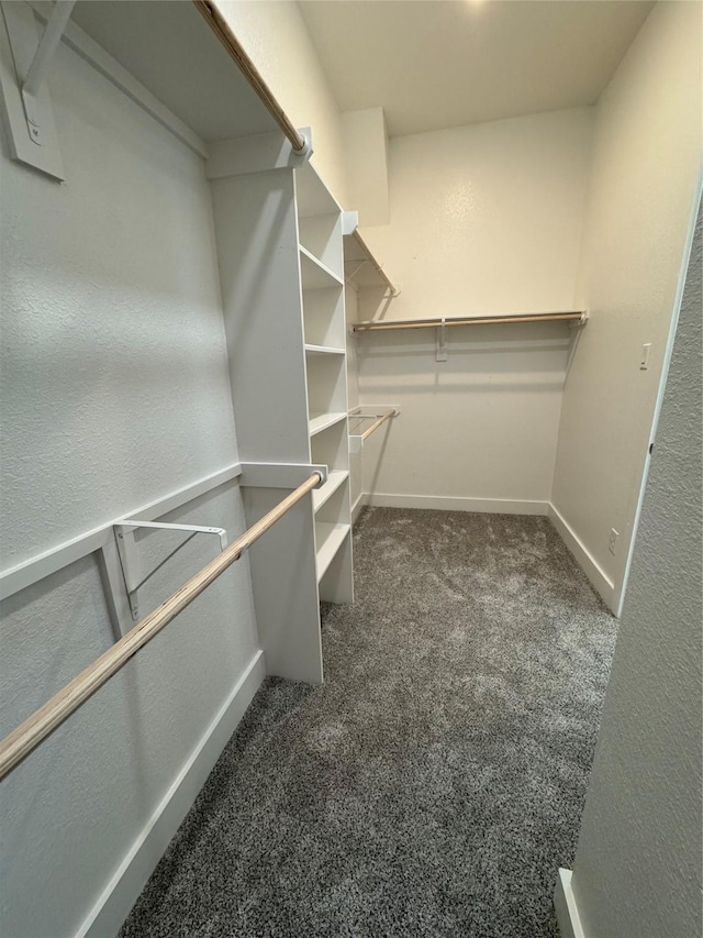3522 Stonehenge, Montgomery, TX 77356 - walk in closet featuring dark colored carpet