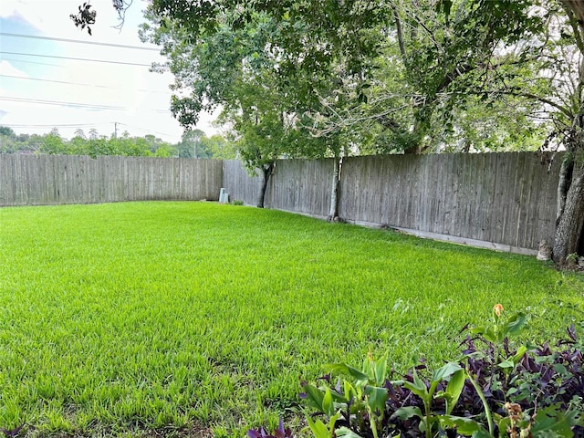 2503 Ironclad Dr, League City, TX 77573 - view of yard